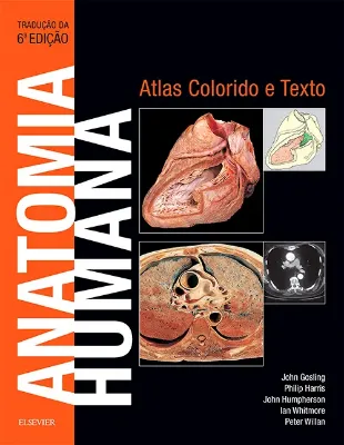 Imagem de Anatomia Humana