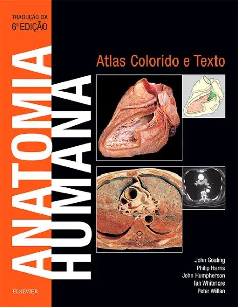 Imagem de Anatomia Humana