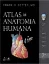 Imagem de Netter - Atlas Anatomia Humana
