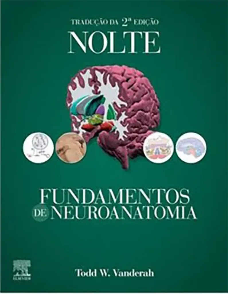 Imagem de Nolte Fundamentos Neuroanatomia