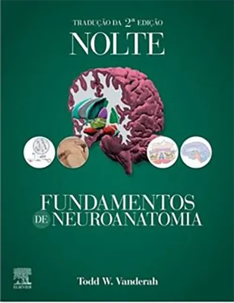 Imagem de Nolte Fundamentos Neuroanatomia