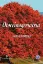 Picture of Book Otorrinogeriatria