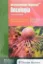 Imagem de Washington Manual - Oncologia