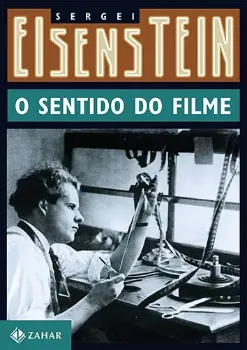 Picture of Book O Sentido do Filme