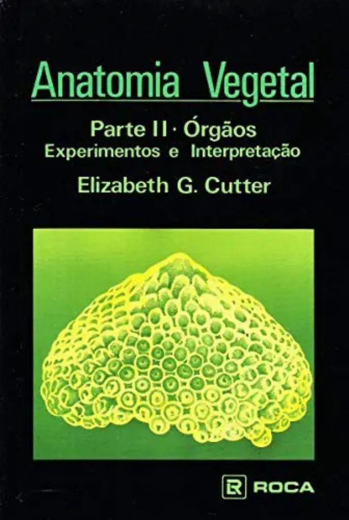 Imagem de Anatomia Vegetal: Órgãos Parte 2