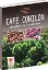 Imagem de Café Conilon - Do Plantio à Colheita