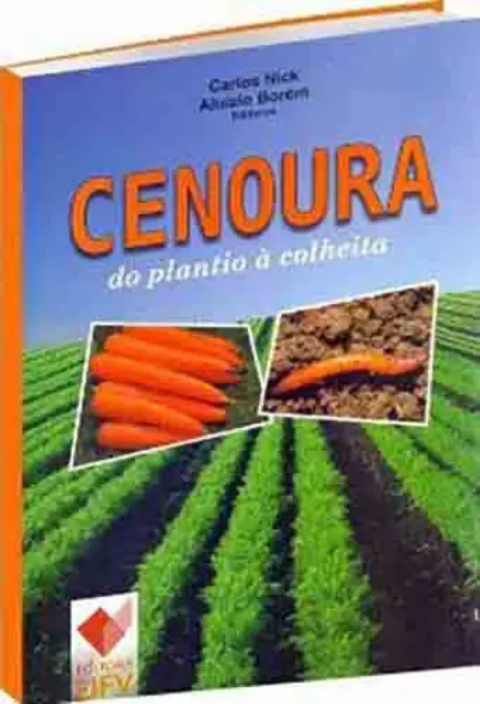 Imagem de Cenoura - Do Plantio à Colheita