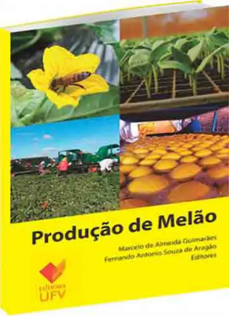 Imagem de Produção de Melão