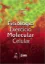 Imagem de Fisiologia do Exercício Molecular e Celular