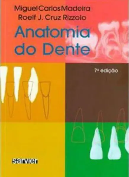 Imagem de Anatomia do Dente