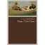 Picture of Book Da Amizade