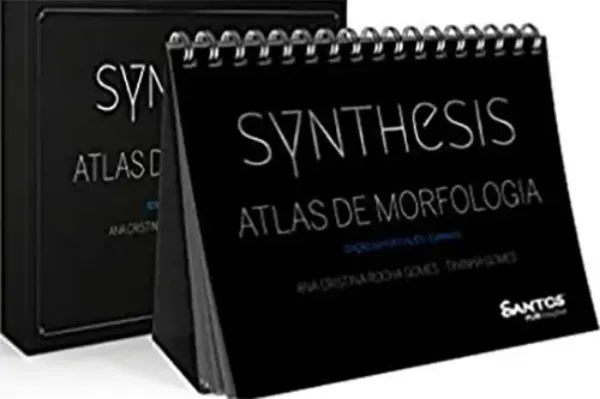 Imagem de Synthesis - Atlas de Morfologia (Edição Bilíngue - Português/Espanhol)