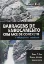 Picture of Book Barragens de Enrocamento com Face de Concreto