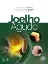 Picture of Book Joelho Agudo