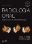 Imagem de White e Pharoah Radiologia Oral Princípios e Interpretação