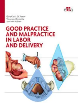 Imagem de Good Practice and Malpractice in Labor and Delivery