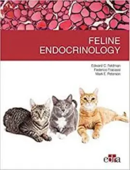 Imagem de Feline Endocrinology