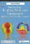 Imagem de Step by Step: Reading Pentacam Topography