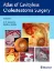 Picture of Book Atlas of Cavityless Cholesteatoma Surgery Vol. 2