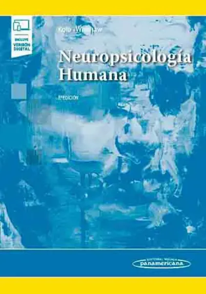 Imagem de Neuropsicología Humana