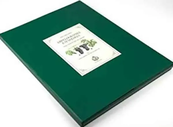 Imagem de Preliminares da Ampelographia e Oenologia do Paiz Vinhateiro do Douro
