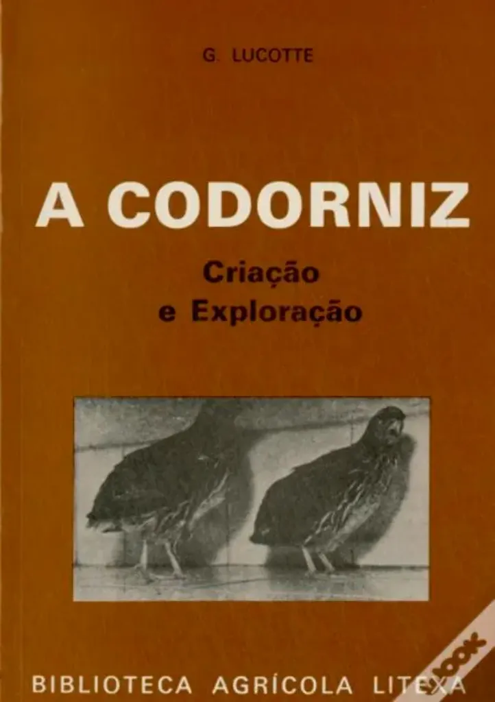 Imagem de A Codorniz