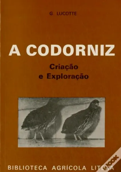 Imagem de A Codorniz