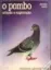 Imagem de O Pombo - Criação e Exploração
