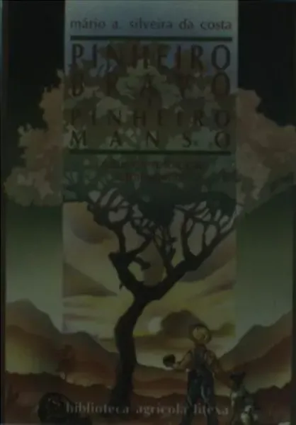 Imagem de Pinheiro Bravo e Pinheiro Manso