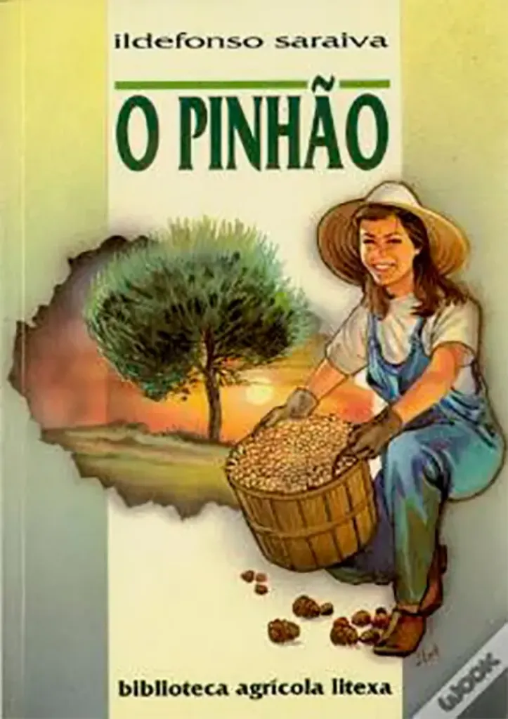 Imagem de O Pinhão