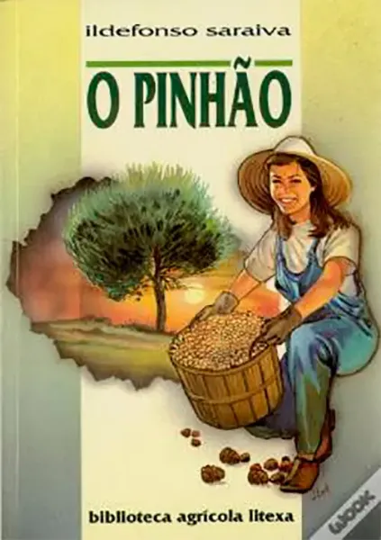Imagem de O Pinhão