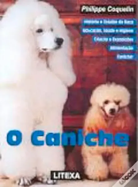 Imagem de O Caniche