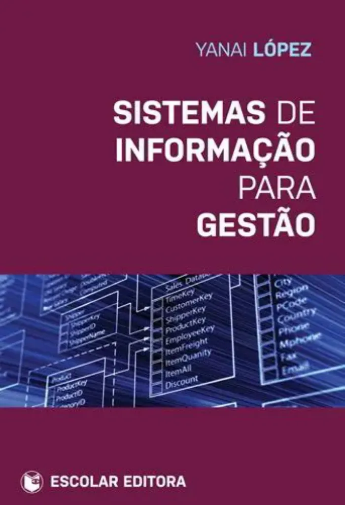 Imagem de Sistemas de Informação para Gestão