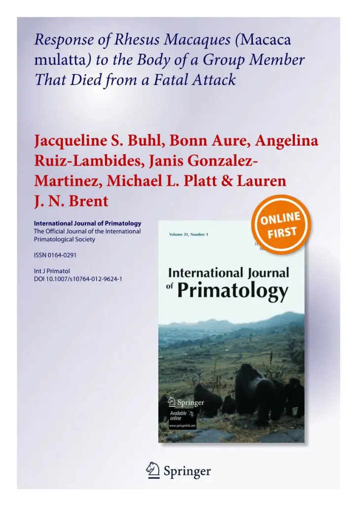 Imagem de Into the Irretrievable Facing Grief and Berevement