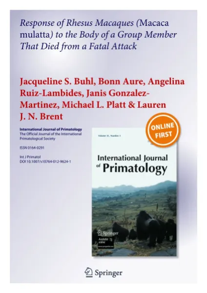 Imagem de Into the Irretrievable Facing Grief and Berevement