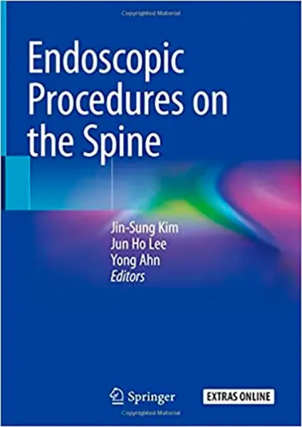 Imagem de Endoscopic Procedures on the Spine