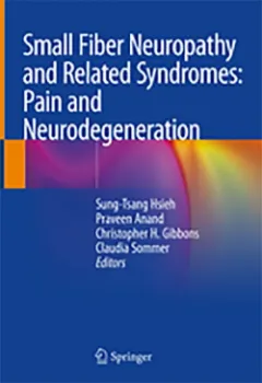 Imagem de Small Fiber Neuropathy and Related Syndromes: Pain and Neurodegeneration