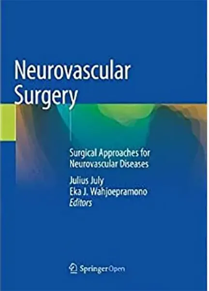 Imagem de Neurovascular Surgery: Surgical Approaches for Neurovascular Diseases
