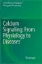 Imagem de Calcium Signaling: From Physiology to Diseases