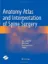 Imagem de Anatomy Atlas and Interpretation of Spine Surgery