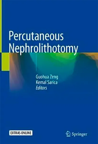 Imagem de Percutaneous Nephrolithotomy