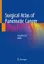Imagem de Surgical Atlas of Pancreatic Cancer