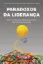 Imagem de Paradoxos da Liderança - Gerir Contradições, Dilemas e Tensões da Vida Organizacional