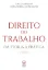 Imagem de Direito do Trabalho Da teoria à Prática