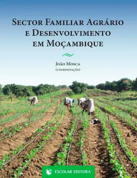 Imagem de Sector Familiar Agrário e Desenvolvimento em Moçambique