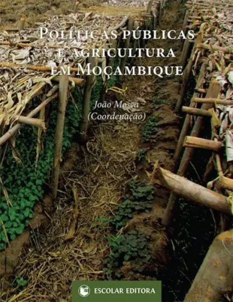 Imagem de Políticas Públicas e Agricultura em Moçambique