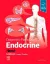 Imagem de Diagnostic Pathology: Endocrine