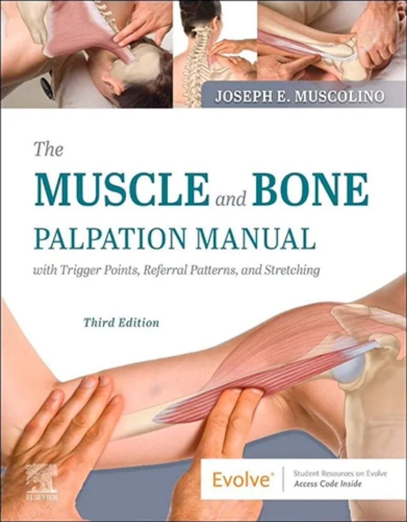 Imagem de Muscle and Bone Palpation Manual with Trigger Points, Referral Patterns and Stretching