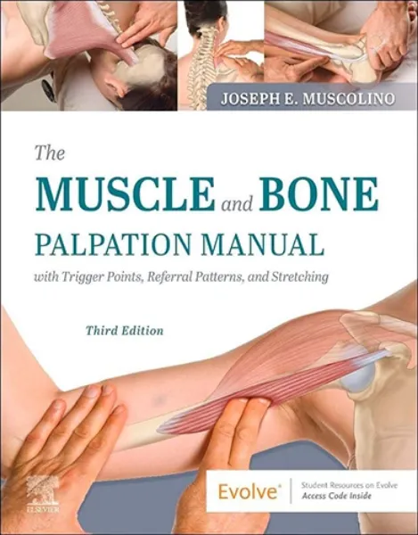 Imagem de Muscle and Bone Palpation Manual with Trigger Points, Referral Patterns and Stretching