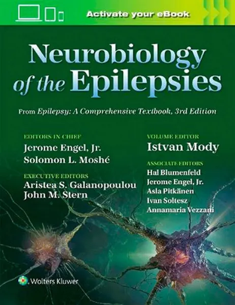 Imagem de Neurobiology of the Epilepsies From Epilepsy: A Comprehensive Textbook